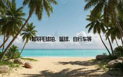 如羽毛球拍、篮球、自行车等