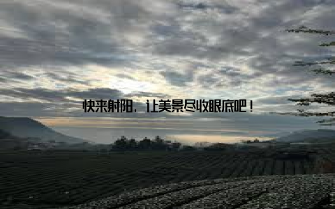 快来射阳, 让美景尽收眼底吧!