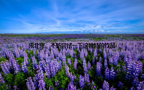 来北京, 不妨尝试一下这独特的饮品