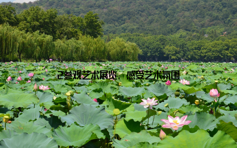 2参观艺术展览, 感受艺术氛围