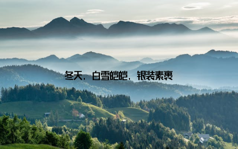 冬天, 白雪皑皑, 银装素裹