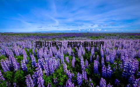 四川九寨沟, 被誉为童话世界