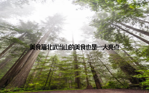 美食篇北武当山的美食也是一大亮点