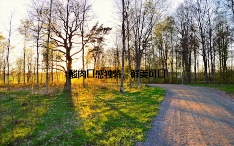酸肉口感独特, 鲜美可口