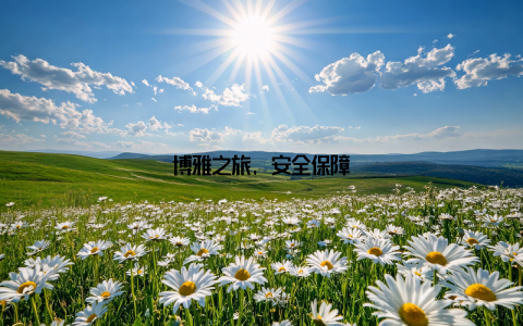 博雅之旅, 安全保障