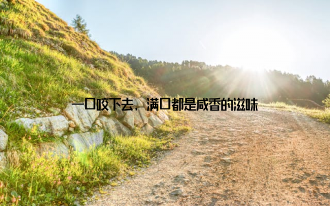 一口咬下去, 满口都是咸香的滋味