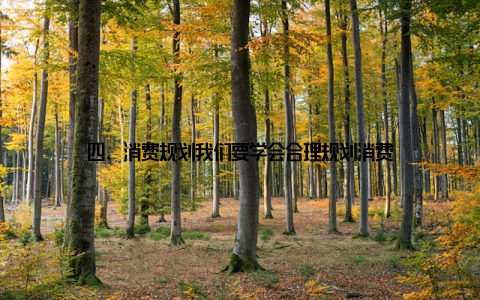 四、消费规划我们要学会合理规划消费
