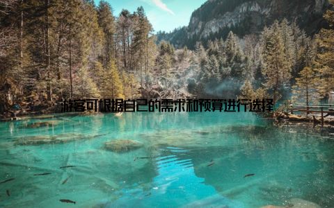 游客可根据自己的需求和预算进行选择