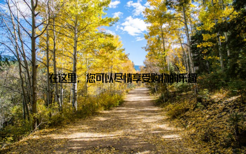 在这里, 您可以尽情享受购物的乐趣