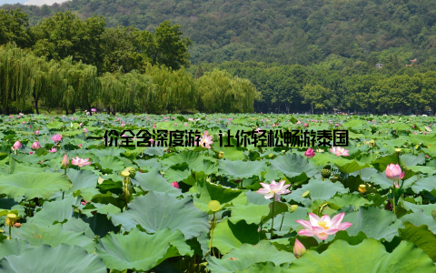 一价全含深度游, 让你轻松畅游泰国