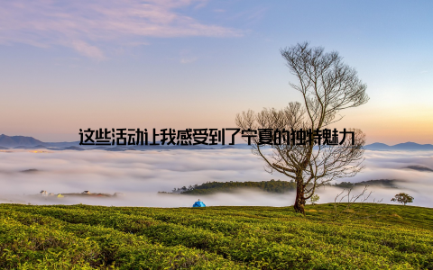 这些活动让我感受到了宁夏的独特魅力