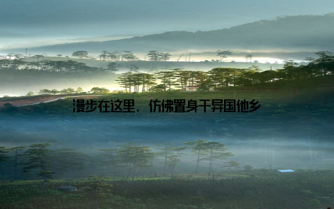 漫步在这里, 仿佛置身于异国他乡