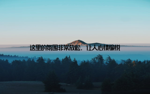 这里的氛围非常放松, 让人心情愉悦