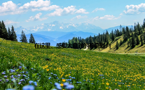 在这里, 感受大自然的神奇魅力