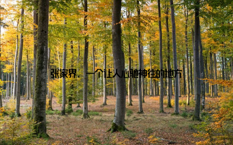 张家界, 一个让人心驰神往的地方