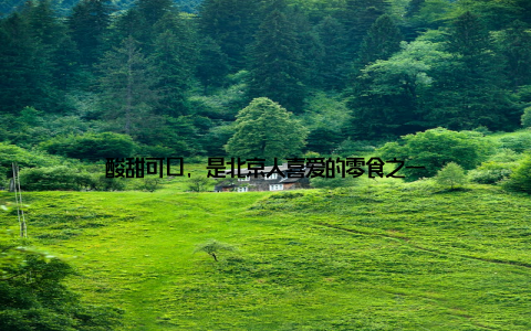 酸甜可口, 是北京人喜爱的零食之一