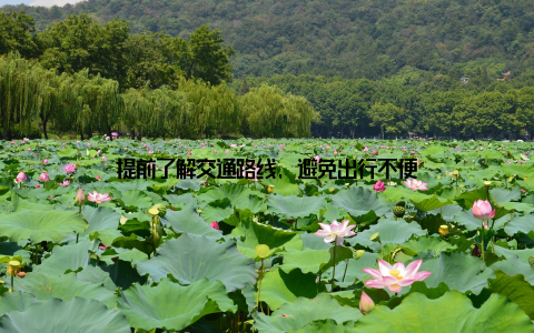 提前了解交通路线, 避免出行不便