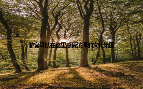 游客可以在这里感受浓厚的文化氛围