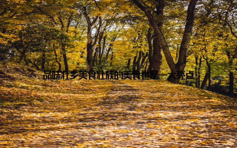 品味壮乡美食壮族的美食也是一大亮点