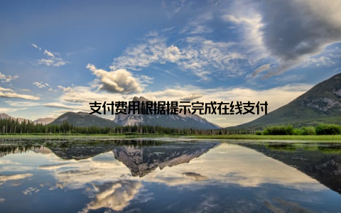– 支付费用根据提示完成在线支付