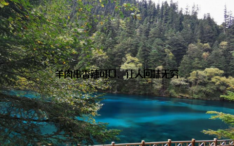 羊肉串香辣可口, 让人回味无穷