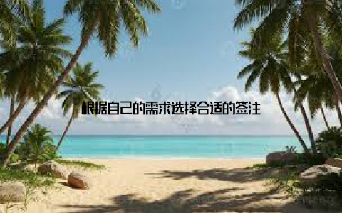 根据自己的需求选择合适的签注