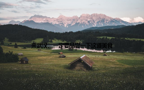 来武汉, 一定要品尝一下这道美食