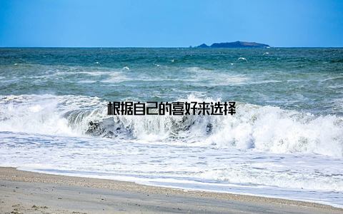 根据自己的喜好来选择