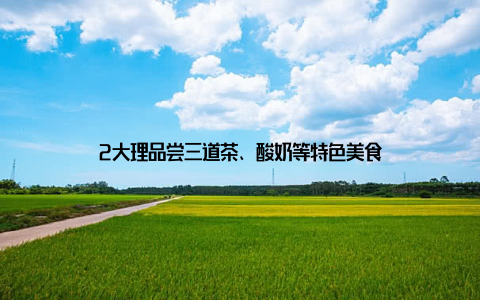 2大理品尝三道茶、酸奶等特色美食