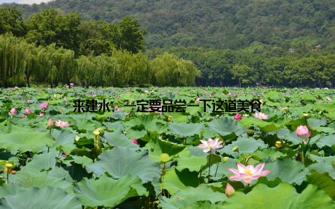 来建水, 一定要品尝一下这道美食