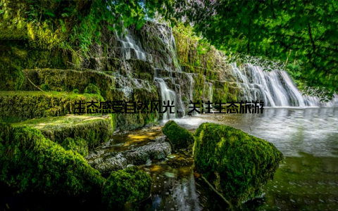 生态感受自然风光, 关注生态旅游