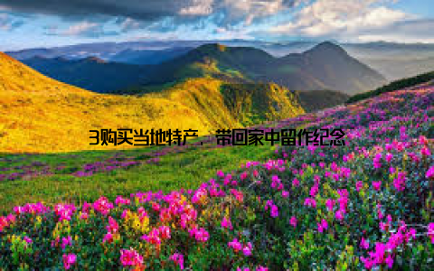 3购买当地特产, 带回家中留作纪念