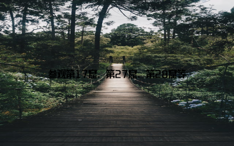 参观第17窟、第27窟、第28窟等