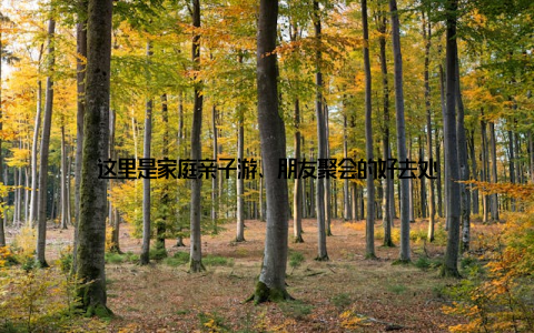 这里是家庭亲子游、朋友聚会的好去处