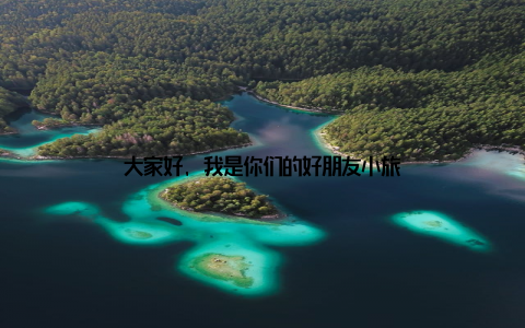 大家好, 我是你们的好朋友小旅