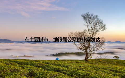 在主要城市, 地铁和公交也非常发达