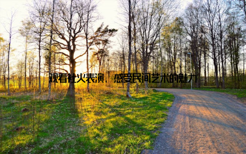 观看社火表演, 感受民间艺术的魅力