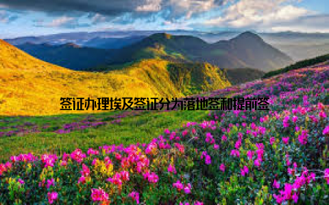 签证办理埃及签证分为落地签和提前签