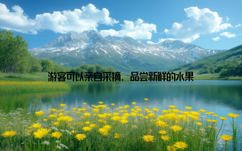 游客可以亲自采摘, 品尝新鲜的水果