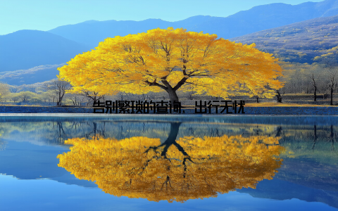 告别繁琐的查询, 出行无忧