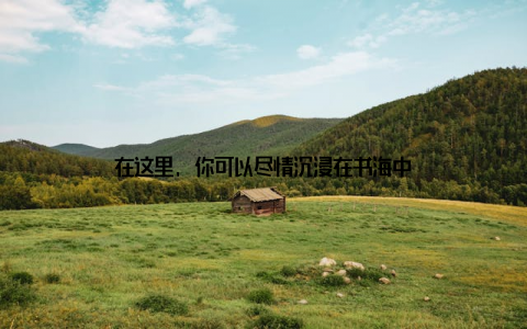 在这里, 你可以尽情沉浸在书海中