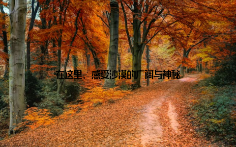 在这里, 感受沙漠的广阔与神秘