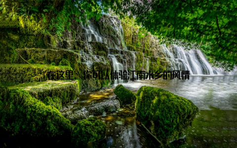 在这里, 你可以体验江南水乡的风情