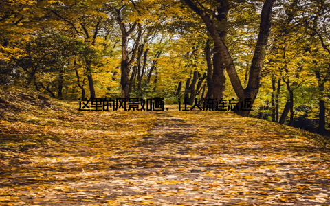 这里的风景如画, 让人流连忘返