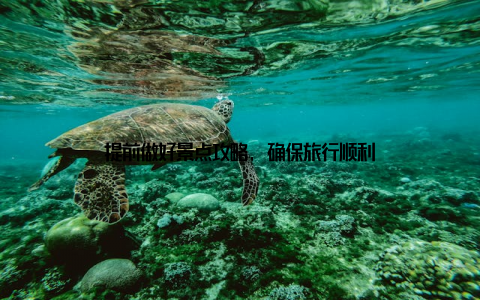 提前做好景点攻略, 确保旅行顺利
