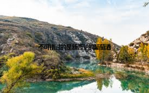 不可错过的是新西兰的葡萄酒