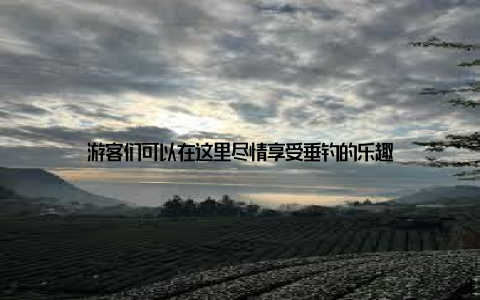 游客们可以在这里尽情享受垂钓的乐趣