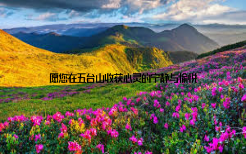 愿您在五台山收获心灵的宁静与愉悦