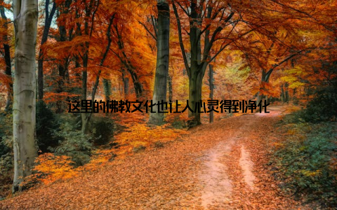 这里的佛教文化也让人心灵得到净化