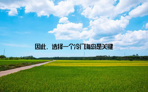 因此, 选择一个冷门海岛是关键